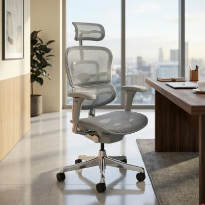 Silla Gerencial Ergofit Gris Malla