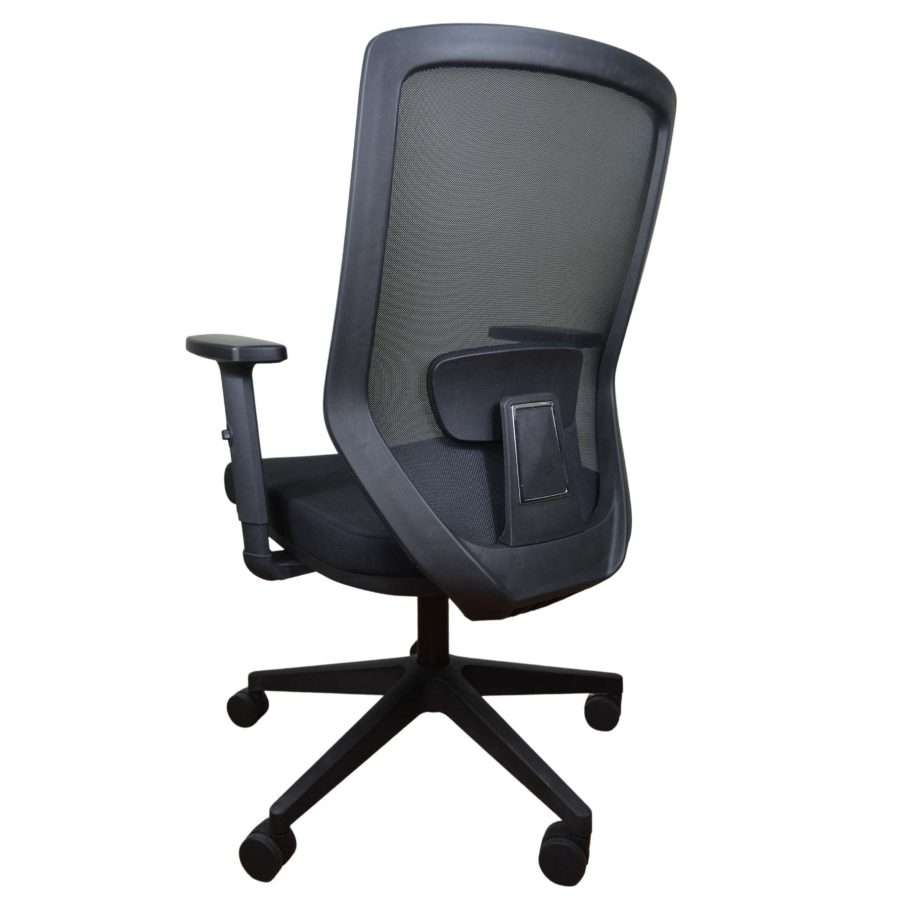 Kleber Soporte Lumbar 4