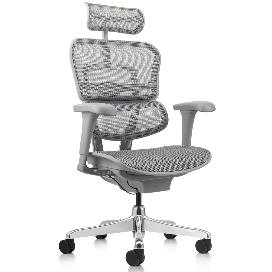 Silla Gerencial Ergofit Gris Malla