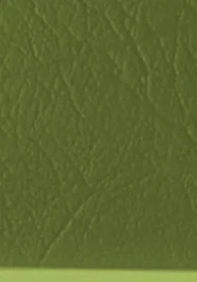 Ecocuero color Verde