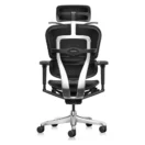 Silla Ergohuman Ultra Cuero de cuero negro, vista frontal - Prido