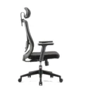 Silla ergonómica Kannia negra de malla, vista de perfil
