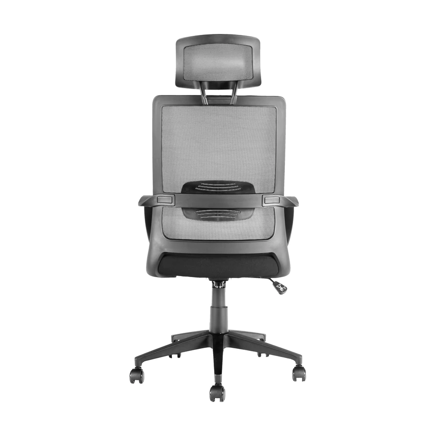 Silla Cova vista trasera, con marco del respaldo y soporte lumbar