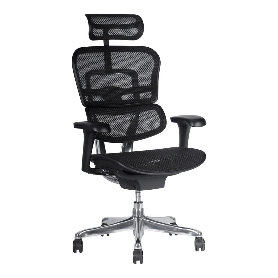 Silla Gerencial Ergofit Negra Malla