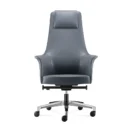 Sillon Accord vista frontal, con brazos integrados en la carcasa y apoyacabezas