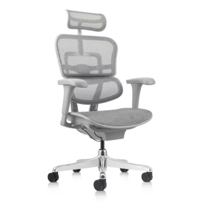 Silla Gerencial Ergofit Gris Malla