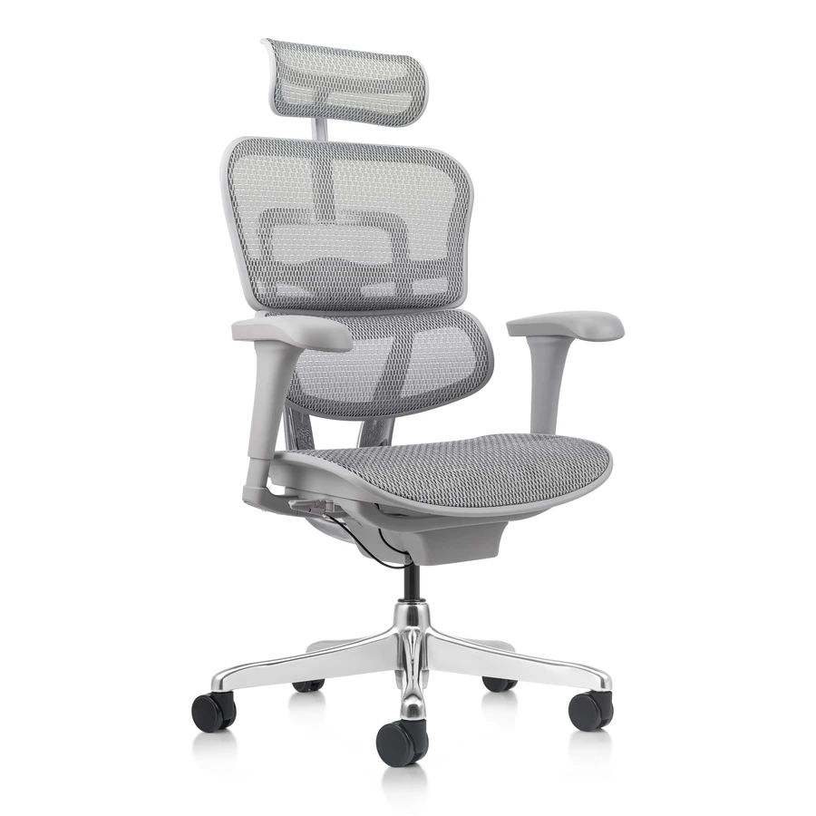 Silla Gerencial Ergofit Gris Malla