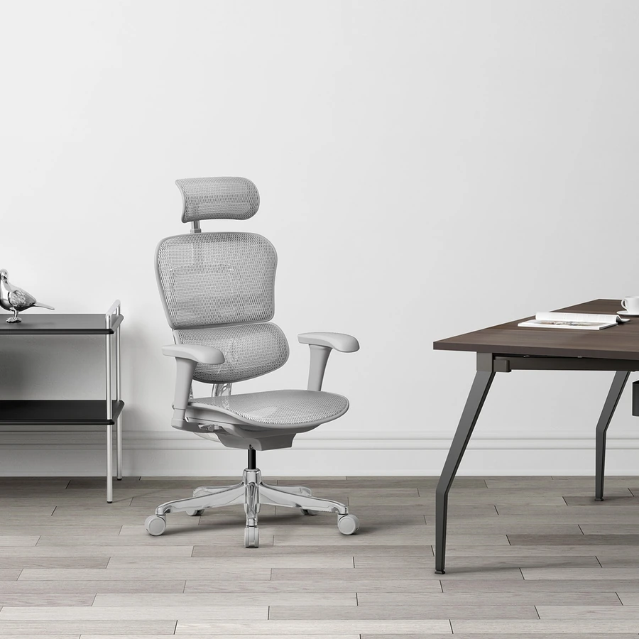 Silla Gerencial Ergofit Gris Malla
